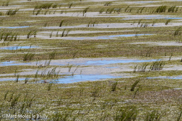 Photography by Marc Moles le Bailly - Colors - West Coast National Park