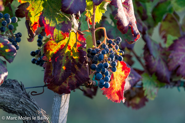 Photography by Marc Moles le Bailly - Colors - End Of The Day In Tuscany