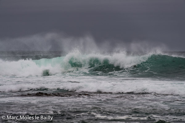 Photography by Marc Moles le Bailly - Rivages - Dual Colors Waves